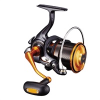 キャスティズム　25